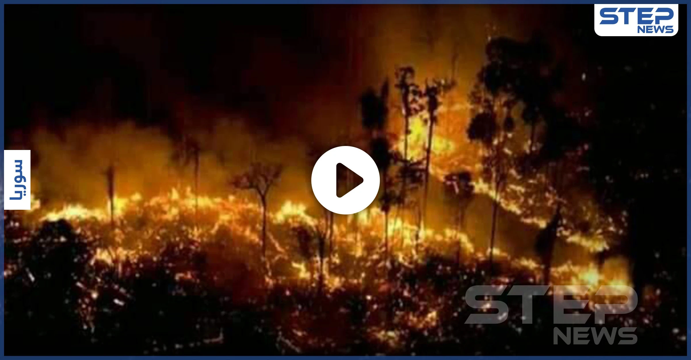بالفيديو والصور|| الساحل يشتعل.. حرائق الغابات السورية تلتهم الأخضر واليابس بفعل مجهول والنظام عاجز