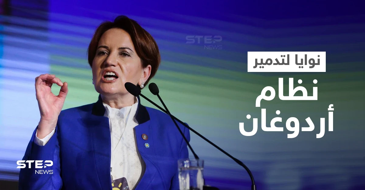 "نظام حرام"... زعيمة حزب بارز تكشف عن نوايا المعارضة لتدمير نظام أردوغان