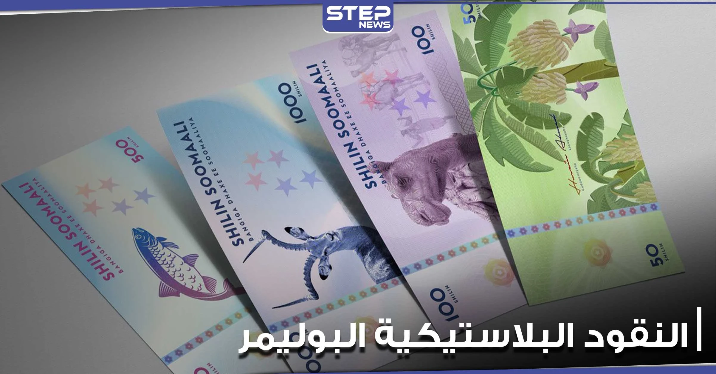 البنك المركزي المصري يكشف تاريخ البدء بطباعة النقود البلاستيكية البوليمر.. ومحللون يوضحون أهميتها
