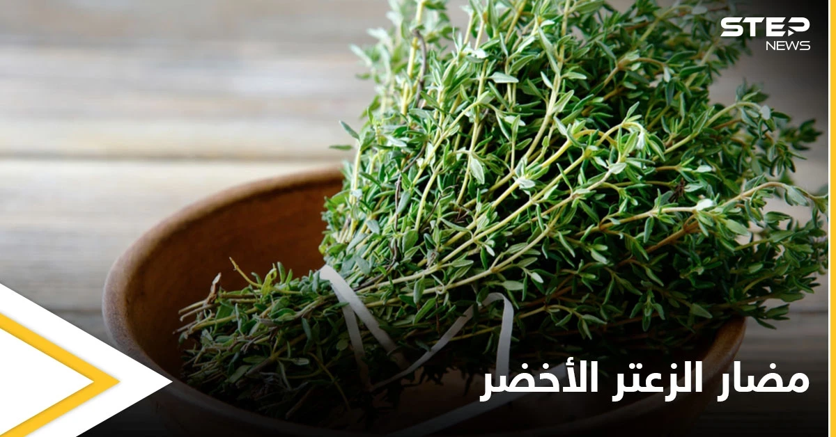 قد يؤدي إلى الإجهاض.. تعرف على مضار الزعتر الأخضر على المرأة الحامل