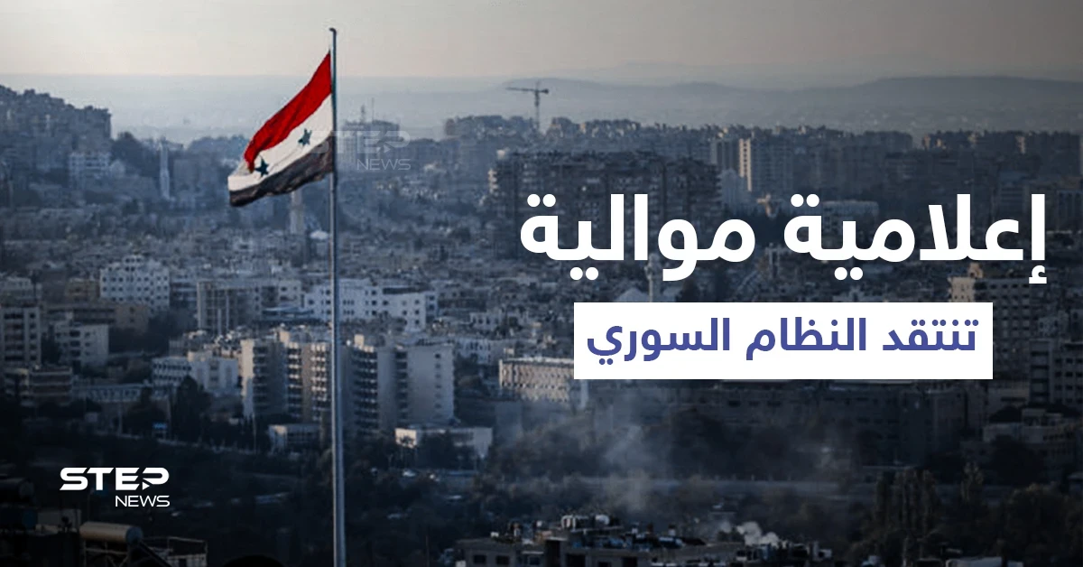 إعلامية موالية بوسط دمشق طفح كيلها لتتجاوز الخطوط الحمر وتحذر "راح انعفط بعد الفيديو"