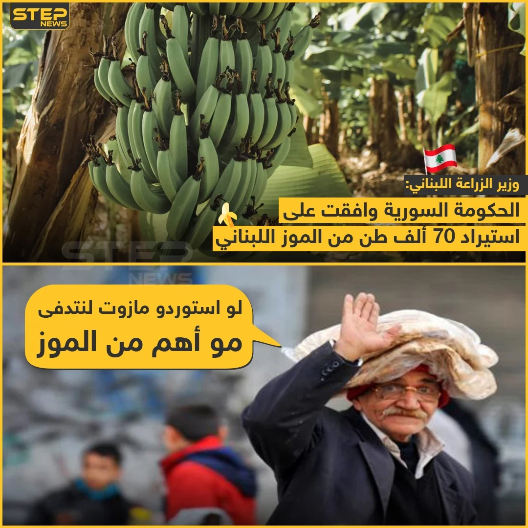 الاستيراد المناسب في الزمان المناسب?