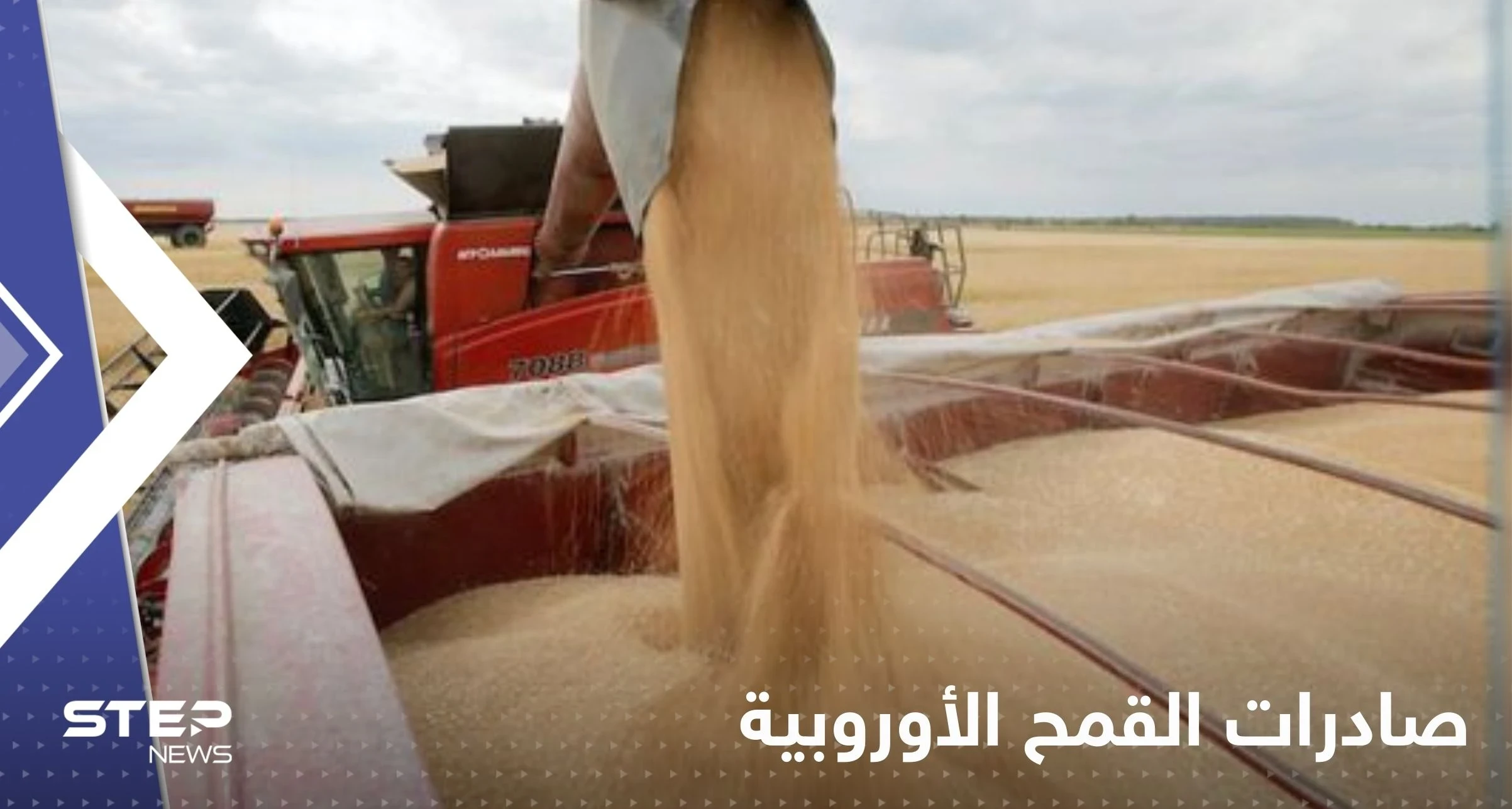 في موسم تظلله الحرب.. صادرات القمح الأوروبية تتحول إلى المغرب