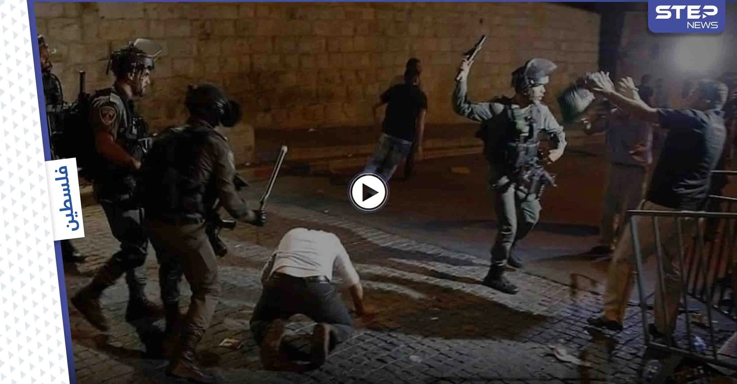 بالفيديو || إصابات في احتجاجات رافضة للاستيطان بحي الشيخ جراح في القدس