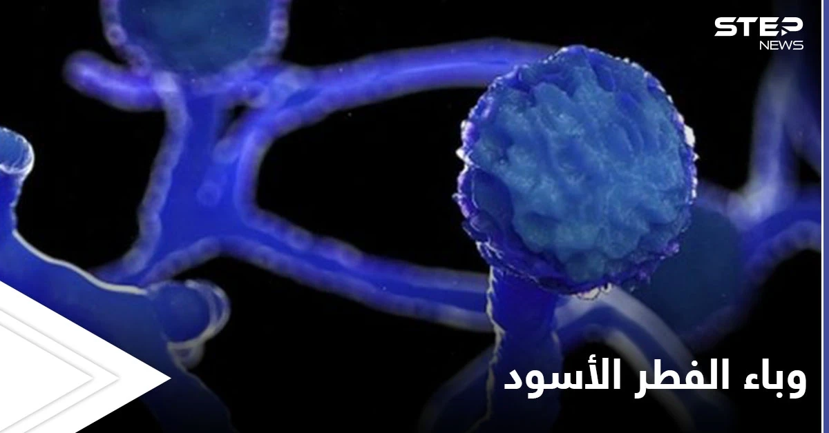 مخاوف من الفطر الأسود.. والصحة العالمية تحذر دولة عربية من وصول المتحور الهندي إليها