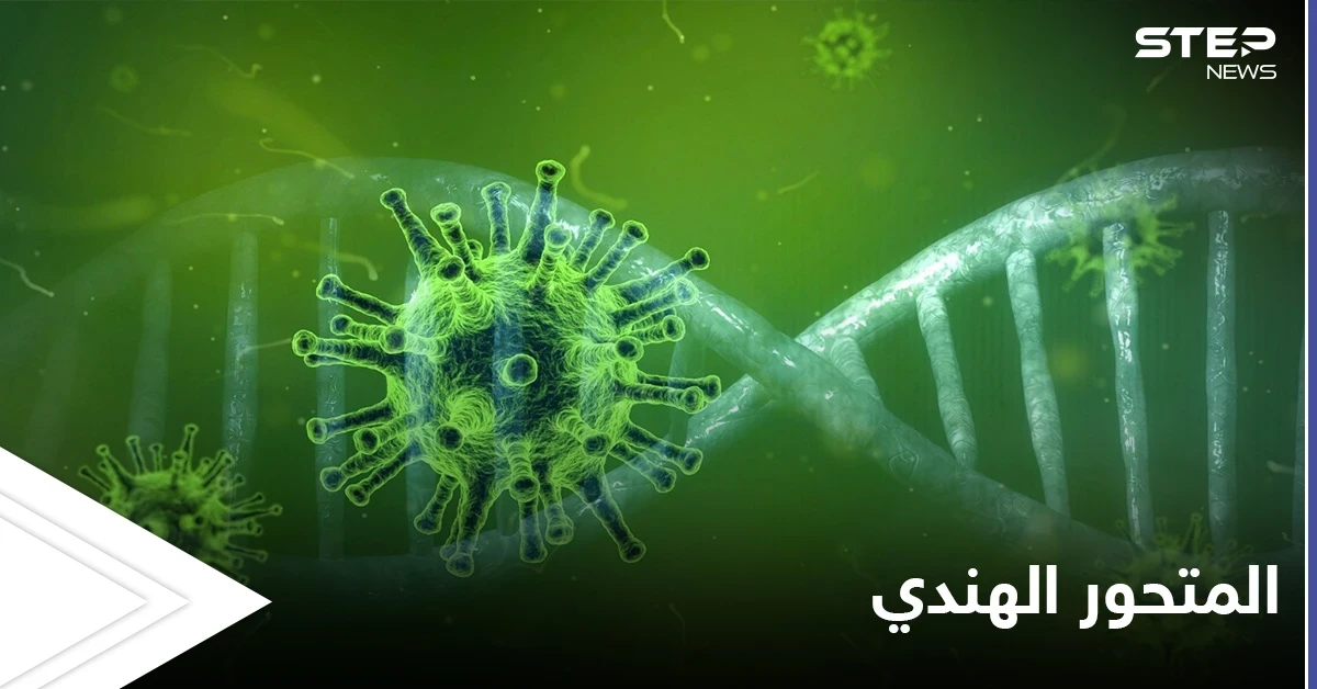المتحور الهندي يصل لعدد من الدول العربية.. ومسؤول سوري هناك طريقتين لدخول الطفرة لبلدنا