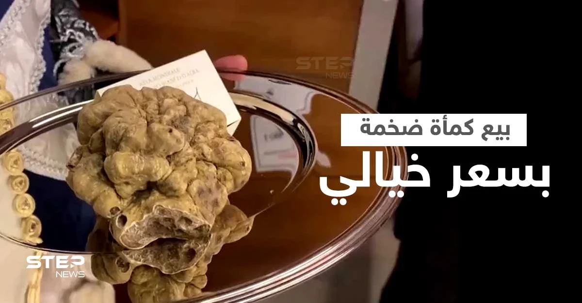 بالفيديو|| بيع كمأة ضخمة بسعر خيالي تجاوز مئة ألف دولار... من هو المشتري