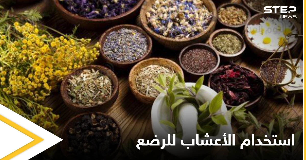 هل من الآمن استخدام الأعشاب للرضع وكيفية استخدامها إليك أهم المعلومات