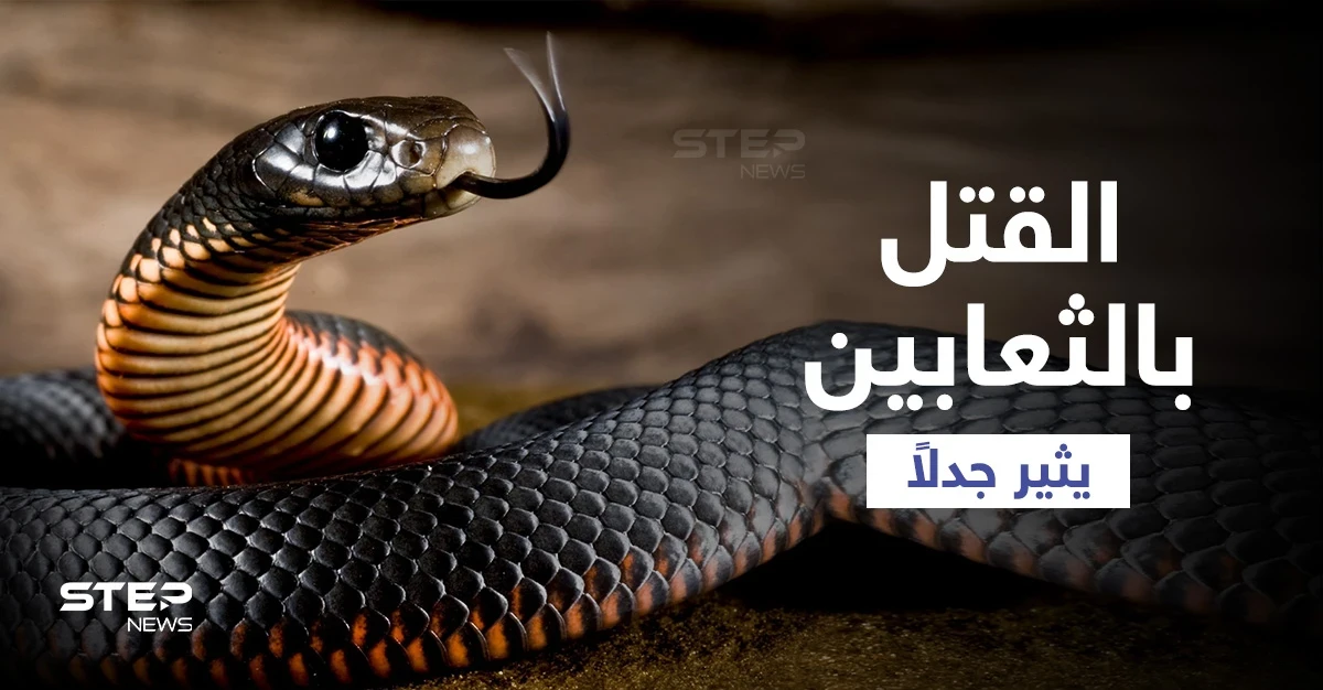 مجرمون يلجأون لـ "الثعابين" لقتل ضحاياهم يثيرون جدلاً بالهند والقضاء يفضح أمرهم ويتربص بهم