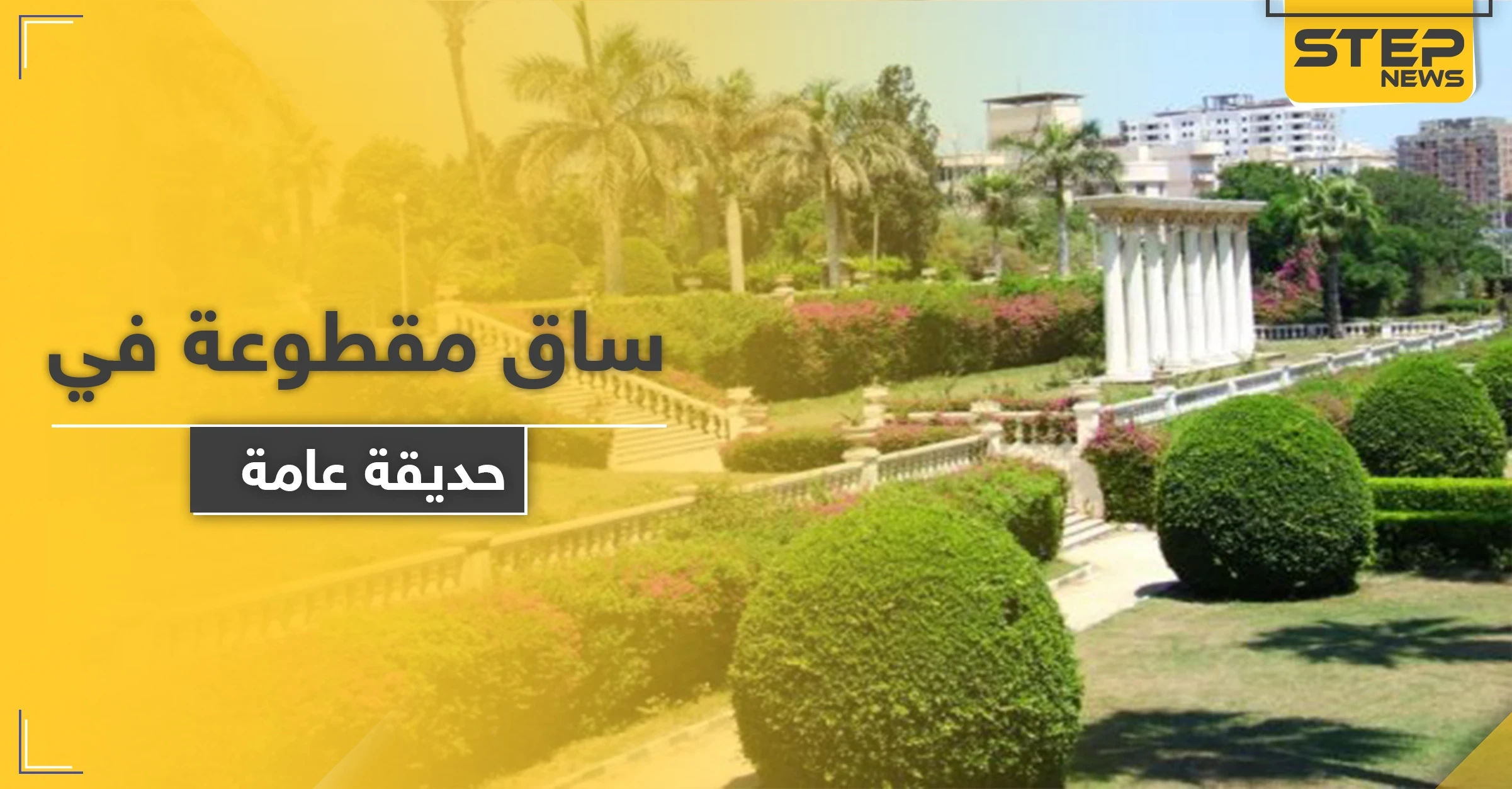 العثور على ساق لفتاة مدفونة في حديقة عامة وسط حلب والطب الشرعي يوضح