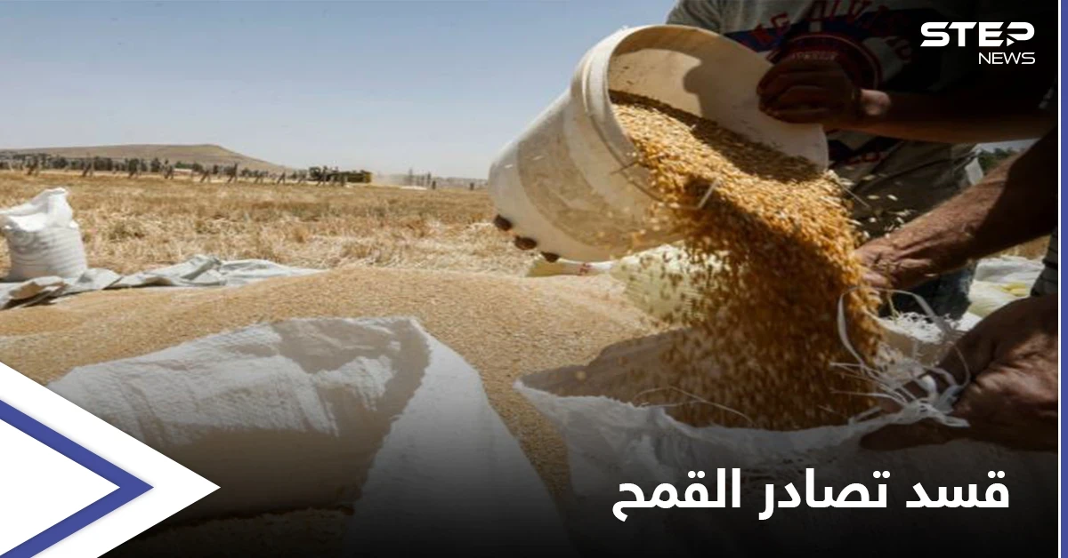 خاص|| قوات قسد تصادر أطناناً من القمح من المناطق المحاذية لمناطق سيطرة المعارضة وتبرّر الدوافع