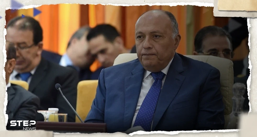 الخارجية المصرية تكشف تفاصيل لقاء شكري وبيدرسون حول الملف السوري