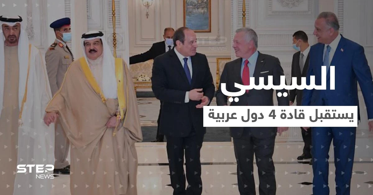 في لقاء خاص.. السيسي يستقبل قادة 4 دول عربية قبل قمة العلمين