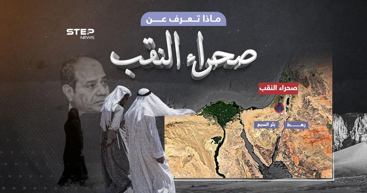 بعد تحدث السيسي عنها ... ما هي صحراء النقب