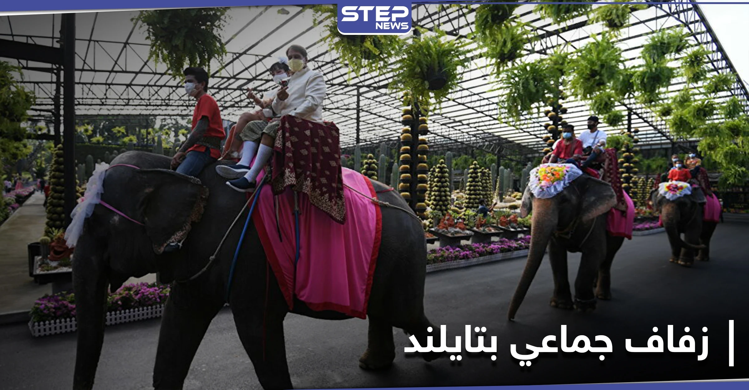بالصور|| في يوم عيد الحب... زفاف جماعي على ظهور الأفيال في حديقة استوائية بتايلاند