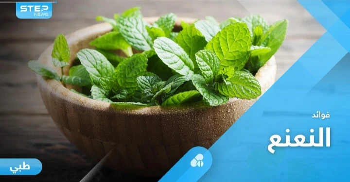 أكثر النباتات العلاجية شعبية حول العالم.. النعنع وفوائد كثيرة لا تحصى