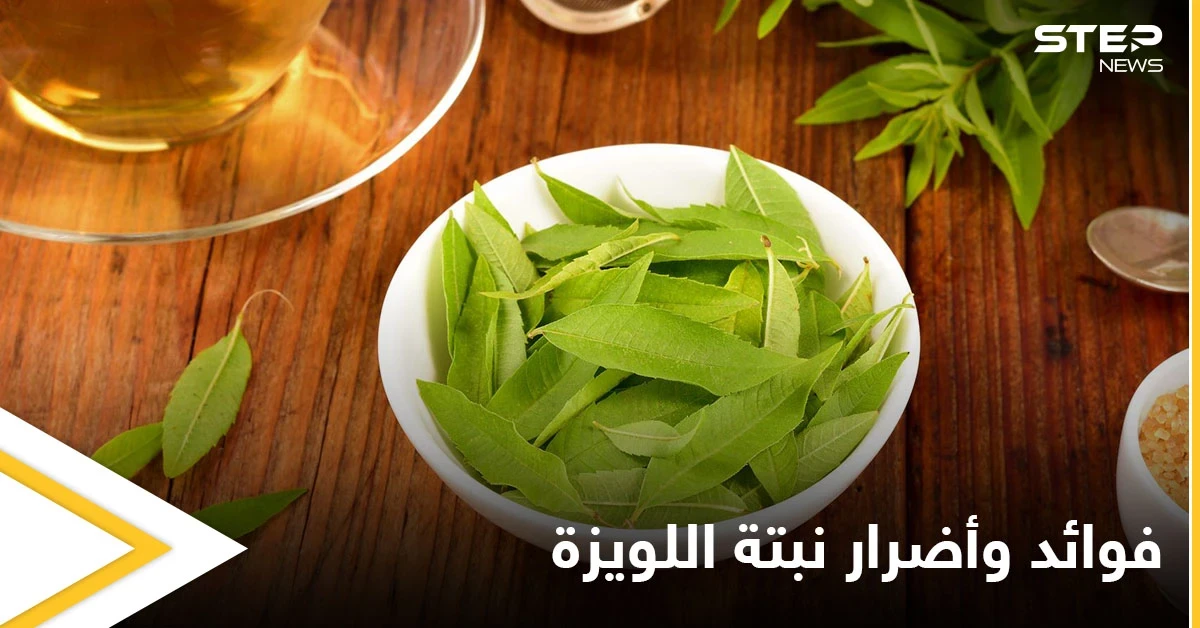 نبتة اللويزة لعلاج الربو وغيره من الأمراض وتحذيرات للمرأة الحامل
