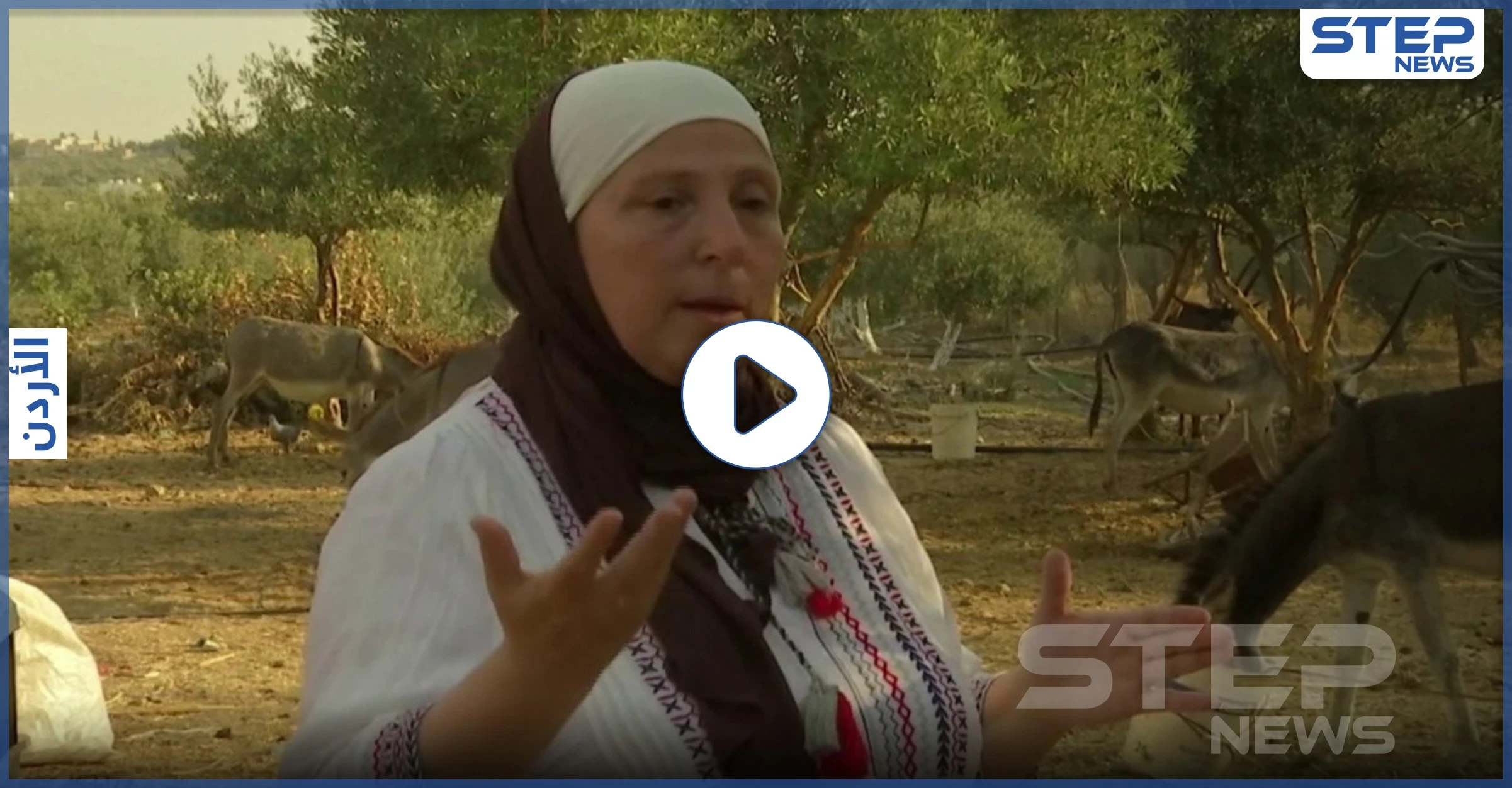 بالفيديو || يساعد في شفاء الأمراض.. أردنية تستخدم حليب الحمير في صناعة الصابون