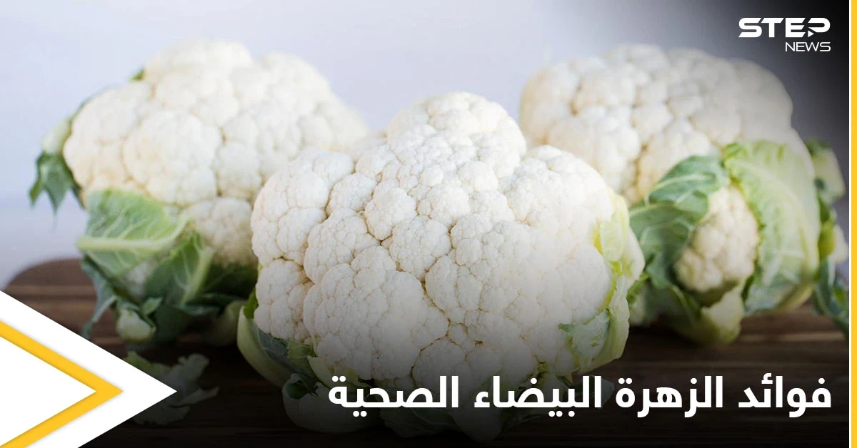 مقاومة للسرطان وتحسن عمل الجهاز العصبي.. تعرف على فوائد الزهرة البيضاء الصحية