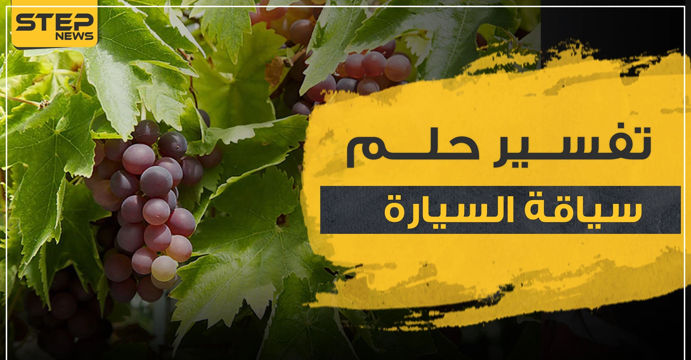 تفسير حلم رؤية أكل العنب..4 تفاسير مختلفة مع تفصيل أنواع العنب للرجال والنساء