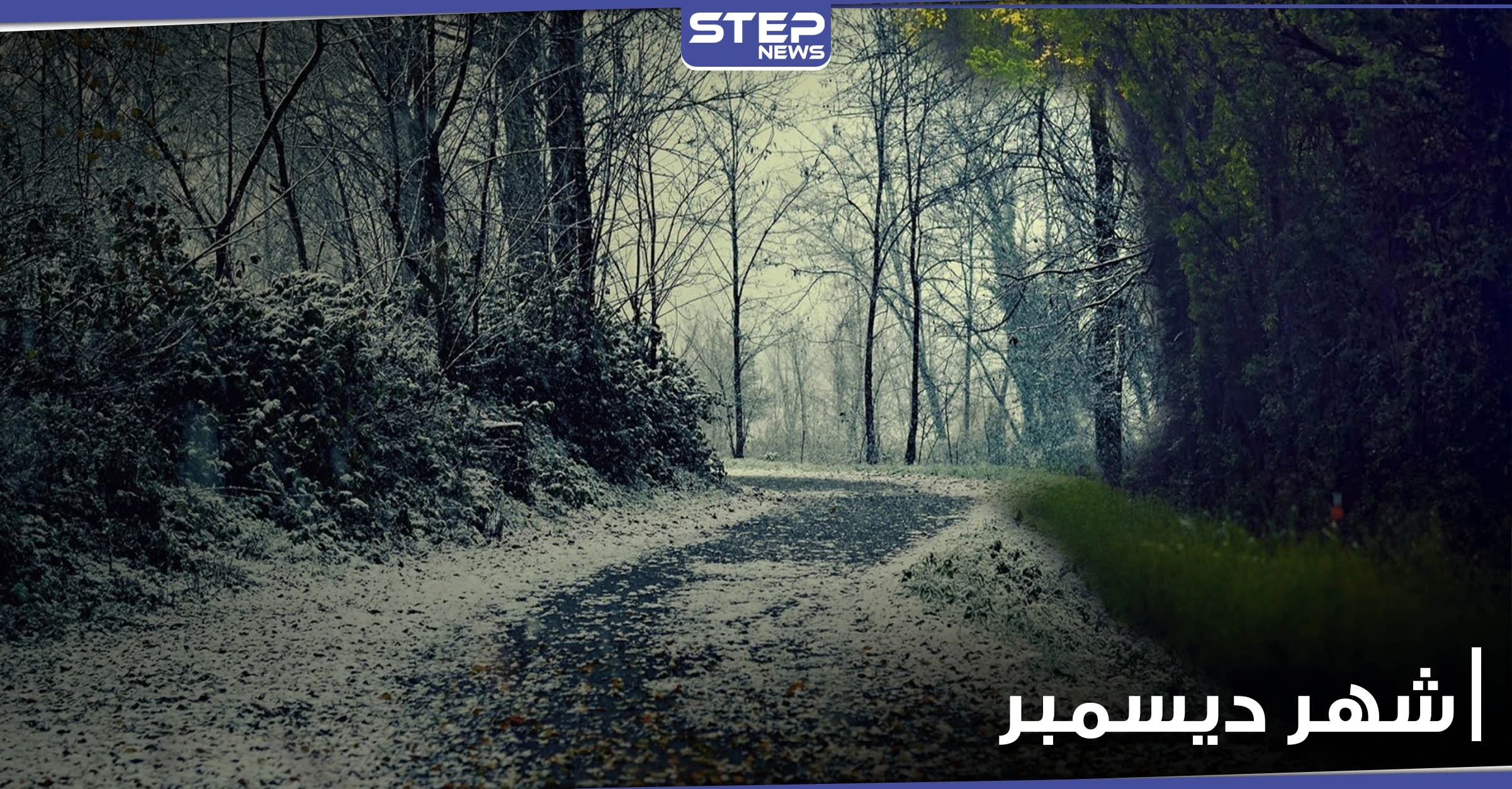 لماذا تصدر "ديسمبر December" مواقع البحث ووصف بشهر النهايات السعيدة