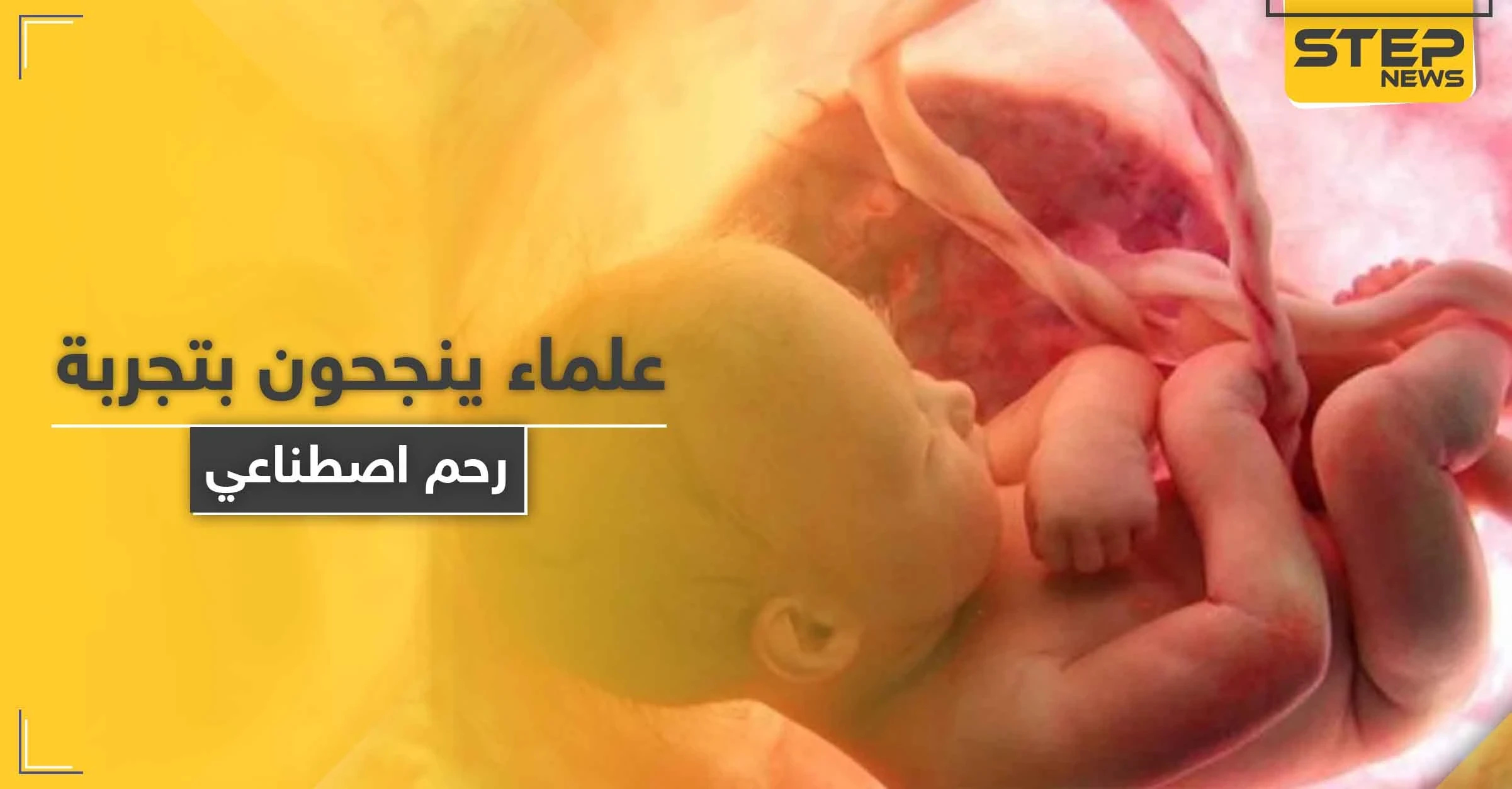 "يمكن مشاهدة تطور الجنين".. علماء ينجحون باختبار رحم اصطناعي