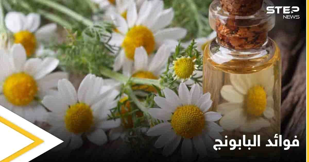 فوائد البابونج التي عليك معرفتها والمعتقدات الخاطئة عنه وإشاعة المغطس الشافي
