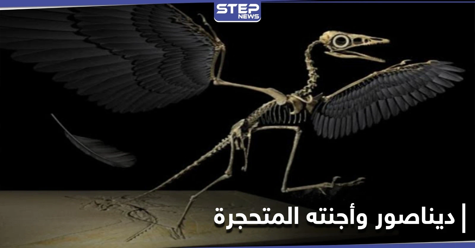ديناصور وأجنته المتحجرة.. اكتشاف في صخور عمرها 70 مليون عام احتفل به العلماء