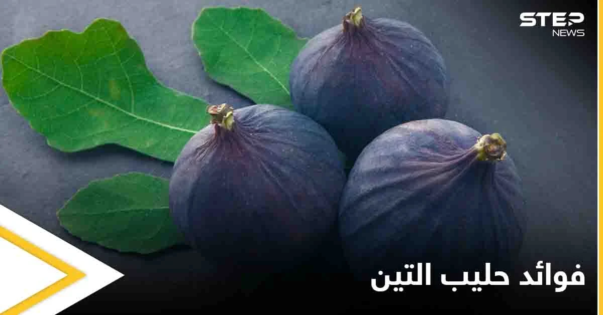 ما هو حليب التين مما يتكون وفوائده الصحية الكثيرة إليك كل ما عليك معرفته عنه