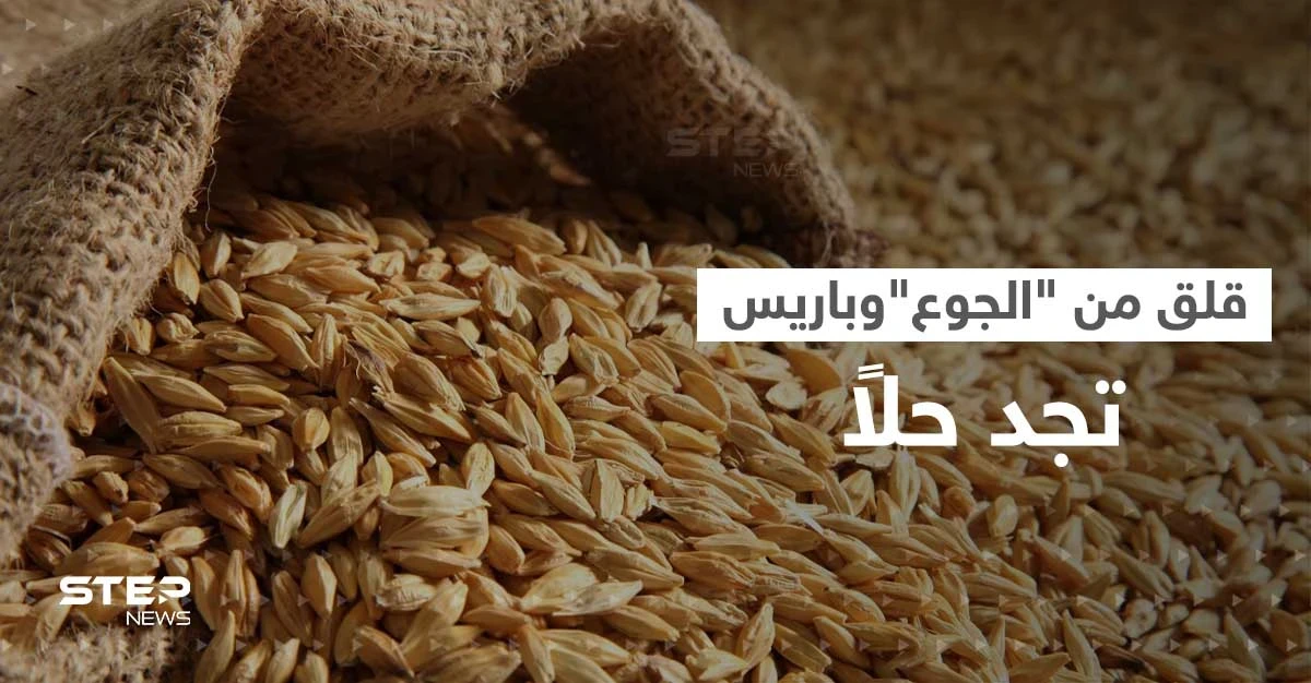 قلق الجوع يمتد من أوروبا إلى أستراليا.. وطريق بريّ قد يكون الحل