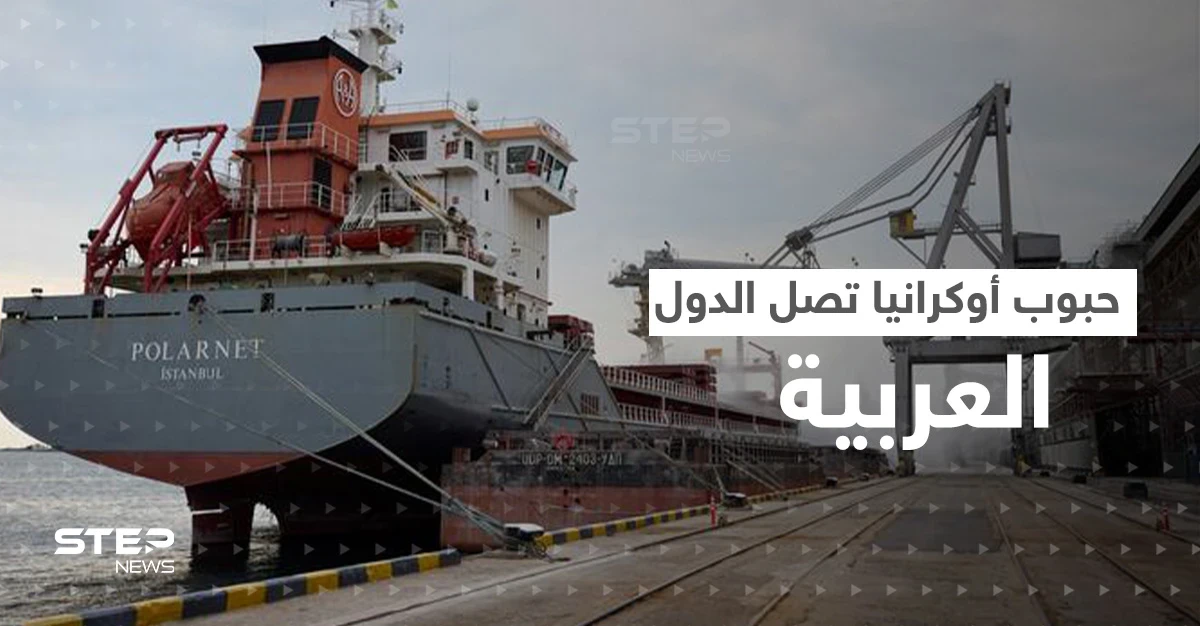 أول سفينة أوكرانية محملة بالحبوب رفضها لبنان فاطفأت جهاز التعقب ووجدت وجهة ثانية