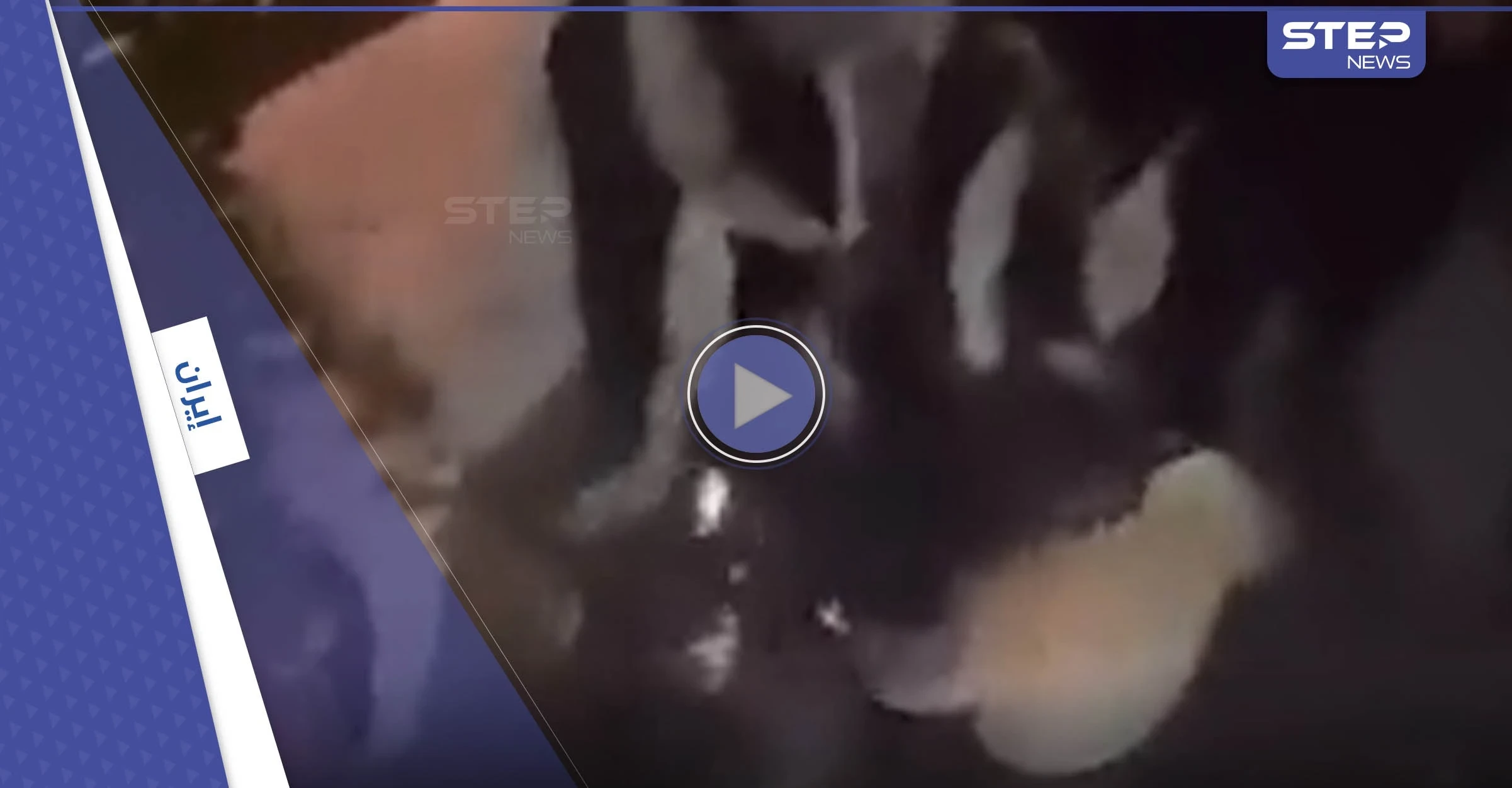 بالفيديو|| الاعتداء على متظاهر بالعصي يثير الغضب في إيران