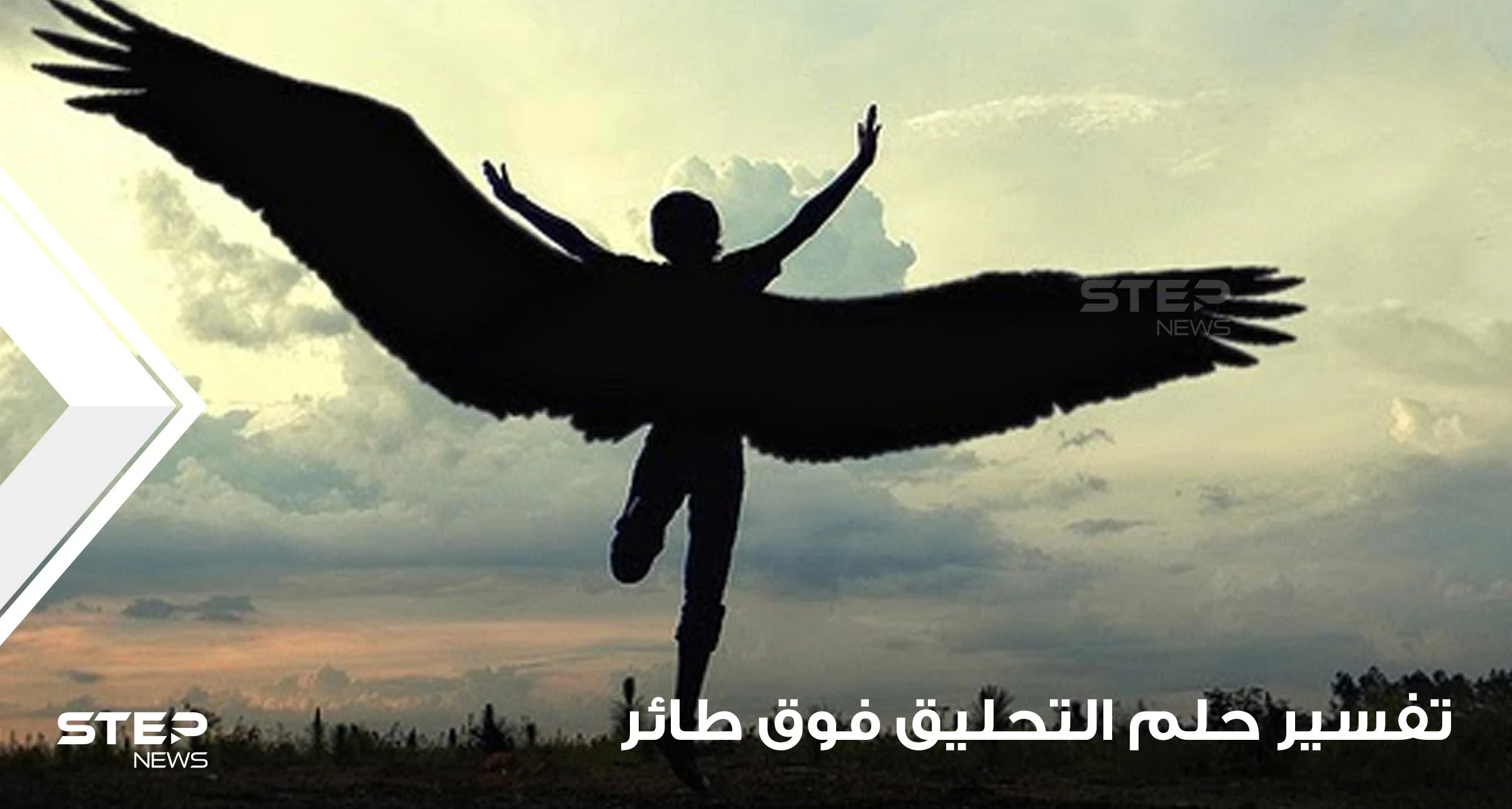 تفسير حلم التحليق فوق طائر بالمنام والطيران للعزباء والمتزوجة والمطلقة