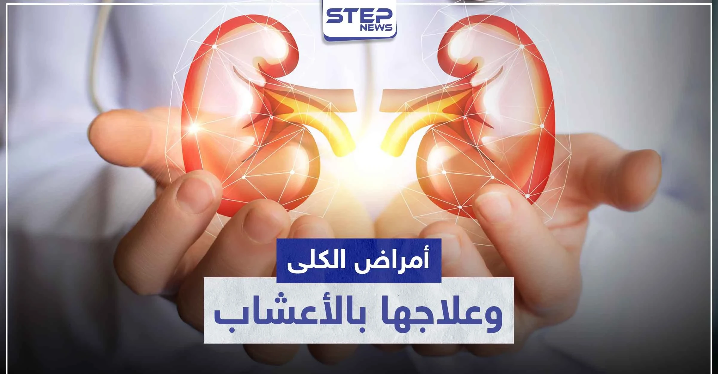أمراض الكلى الشائعة.. و 8 أعشاب طبيعية لعلاجها