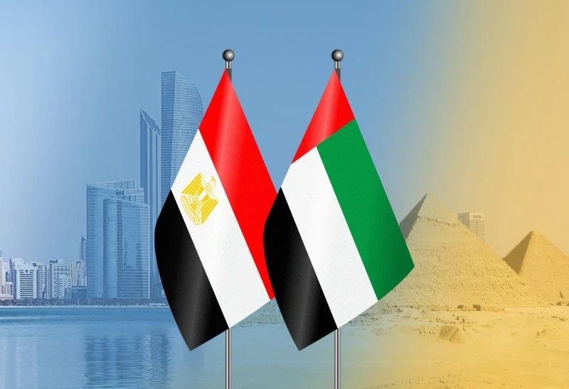 وزير الخارجية المصري يبحث مع نظيره الإماراتي ملفات سوريا و3 دول عربية أخرى.. وحافظ يكشف تفاصيل اللقاء