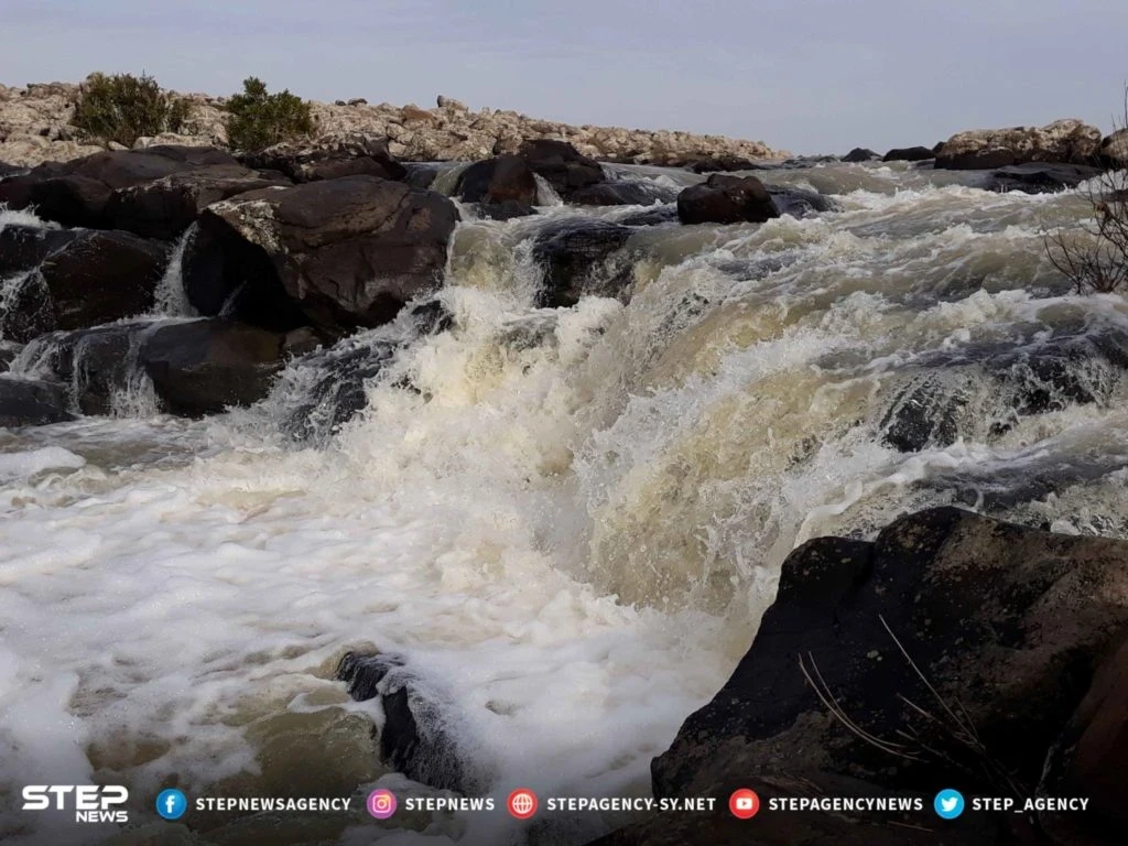 موجز أخبار الوضع السوري ليوم الخميس 10/01/2019