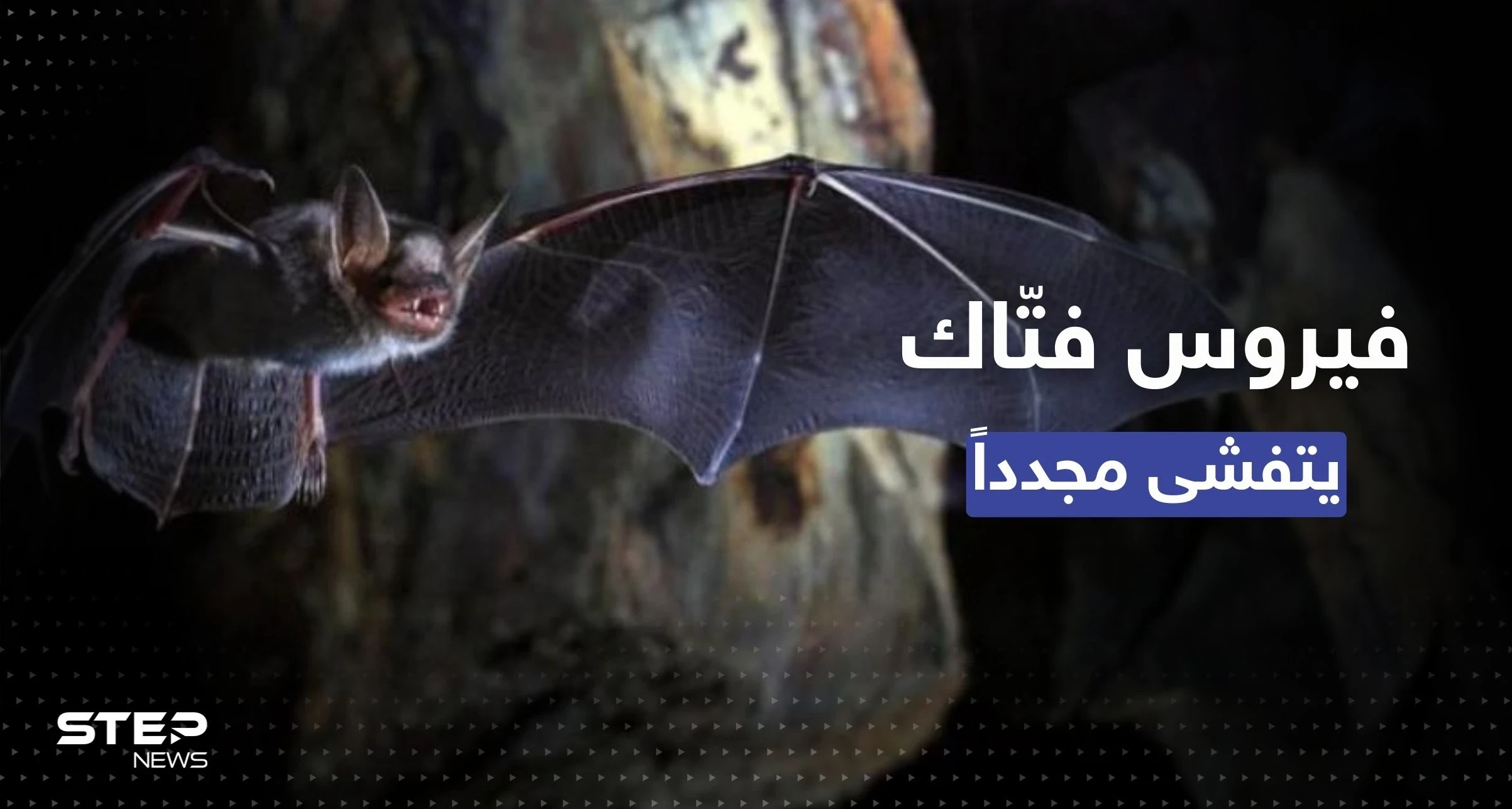 فيروس "فتّاك" يعود من جديد.. الصحة العالمية تؤكد: أول تفشٍ بغينيا الاستوائية