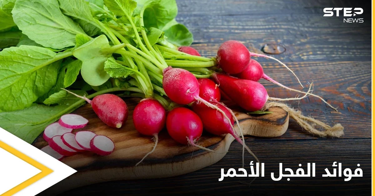 يمتلك تأثيراً سحرياً على صحة القلب والأوعية.. الفجل الأحمر خواص صحية كثيرة تعرف عليها