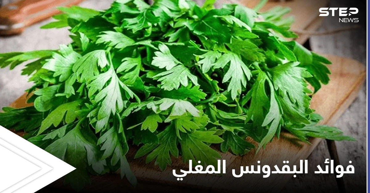 منها علاج الفقر الدم.. فوائد كثيرة لشرب البقدونس المغلي قبل النوم تعرف عليها
