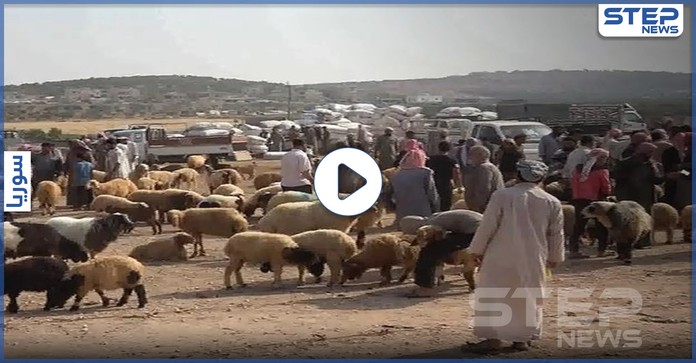 وسط غلاء في أسعارها.. حالة جمود تشهدها أسوق الأضاحي شمالي إدلب