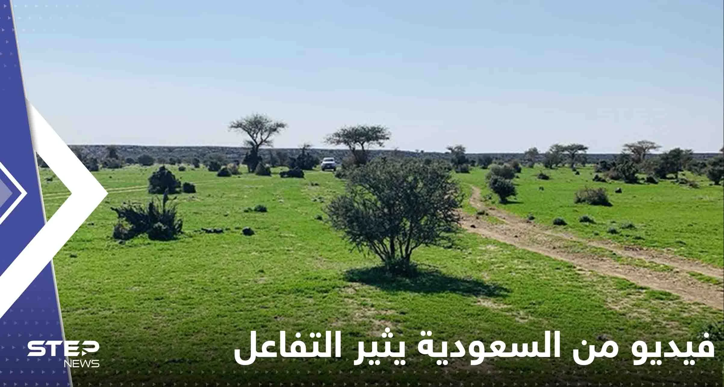 شاهد|| فيديو من السعودية يثير التفاعل ويعيد تداول حديث للنبي الكريم عن قيام الساعة