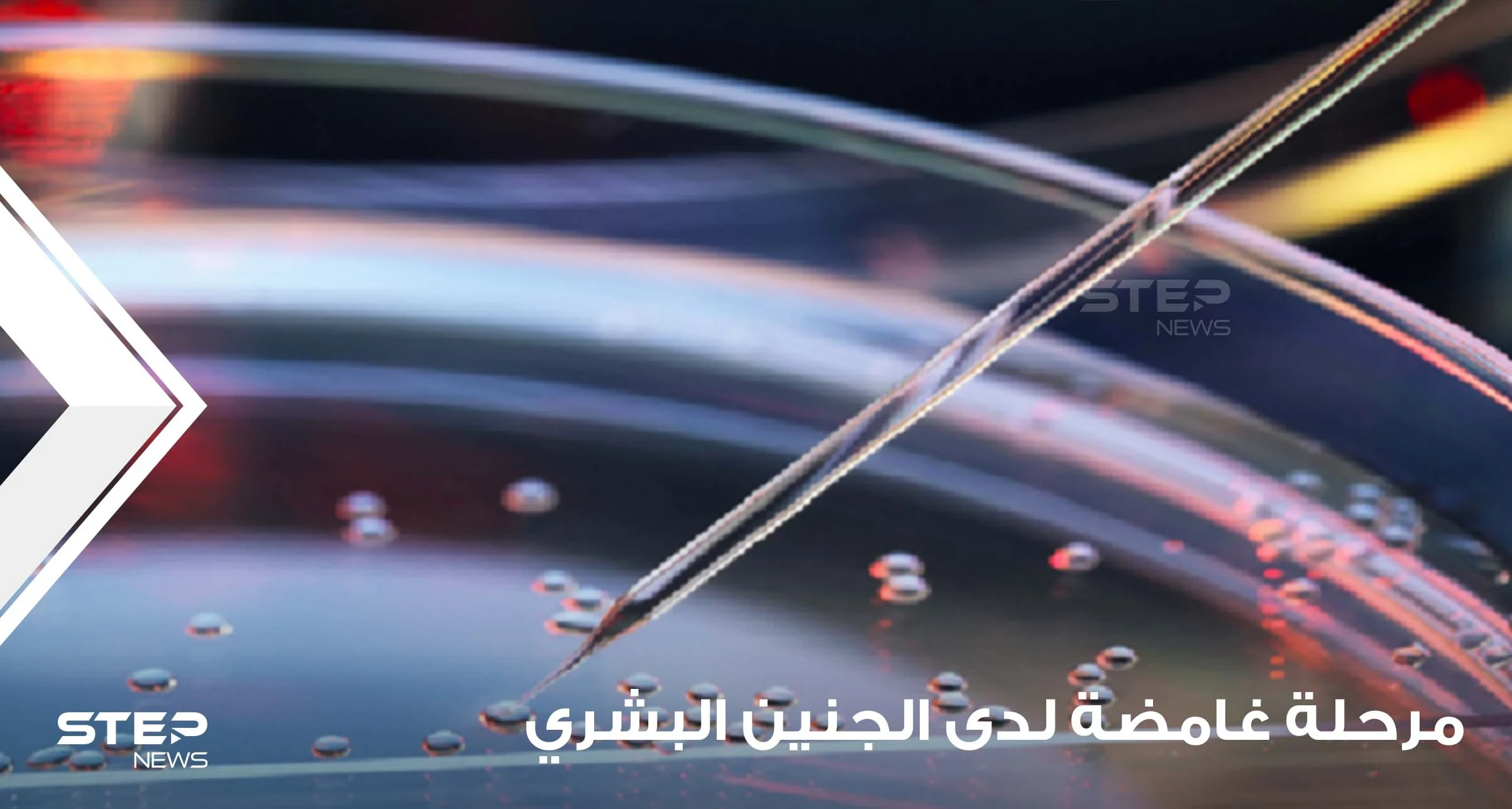 دراسة قد "تغير التاريخ".. علماء يكتشفون مرحلة "غامضة" لدى الجنين البشري ويوضحون التفاصيل