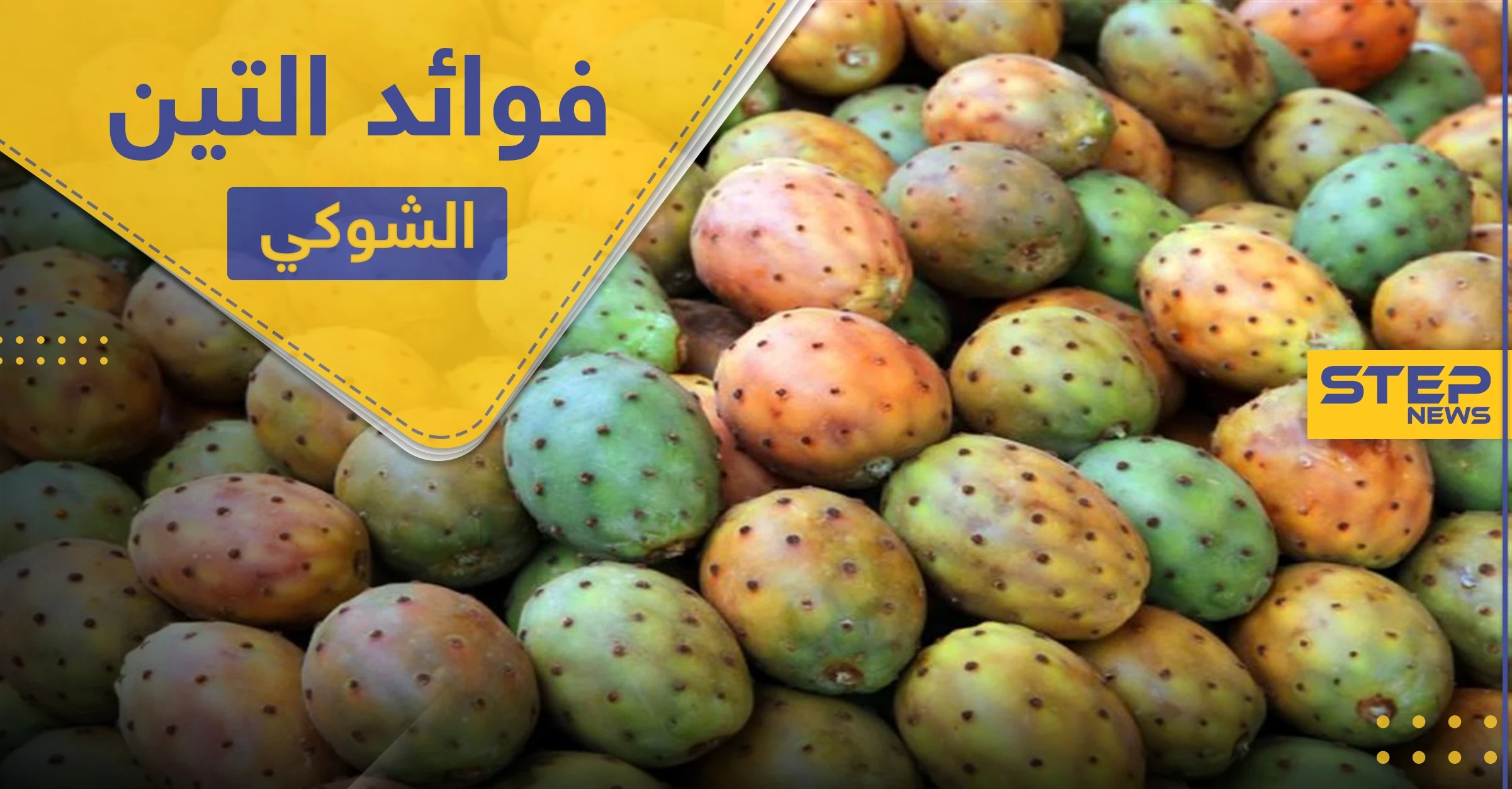 التين الشوكي وزيته.. فوائد غذائية وعلاجية عدة
