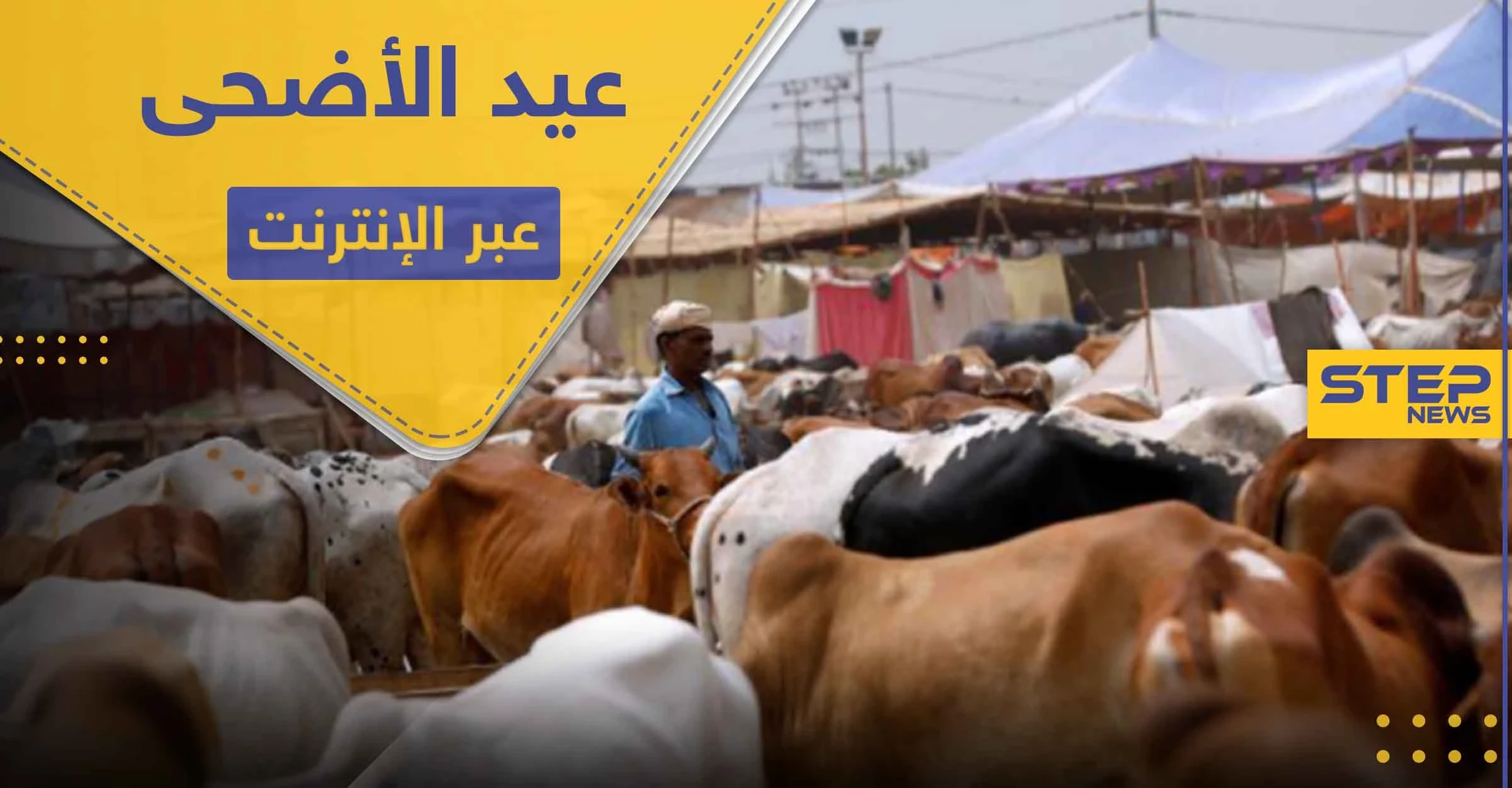 دولة مسلمة تحث مواطنيها على ذبح الأضاحي عبر الإنترنت هذا العيد.. وتبرر موقفها