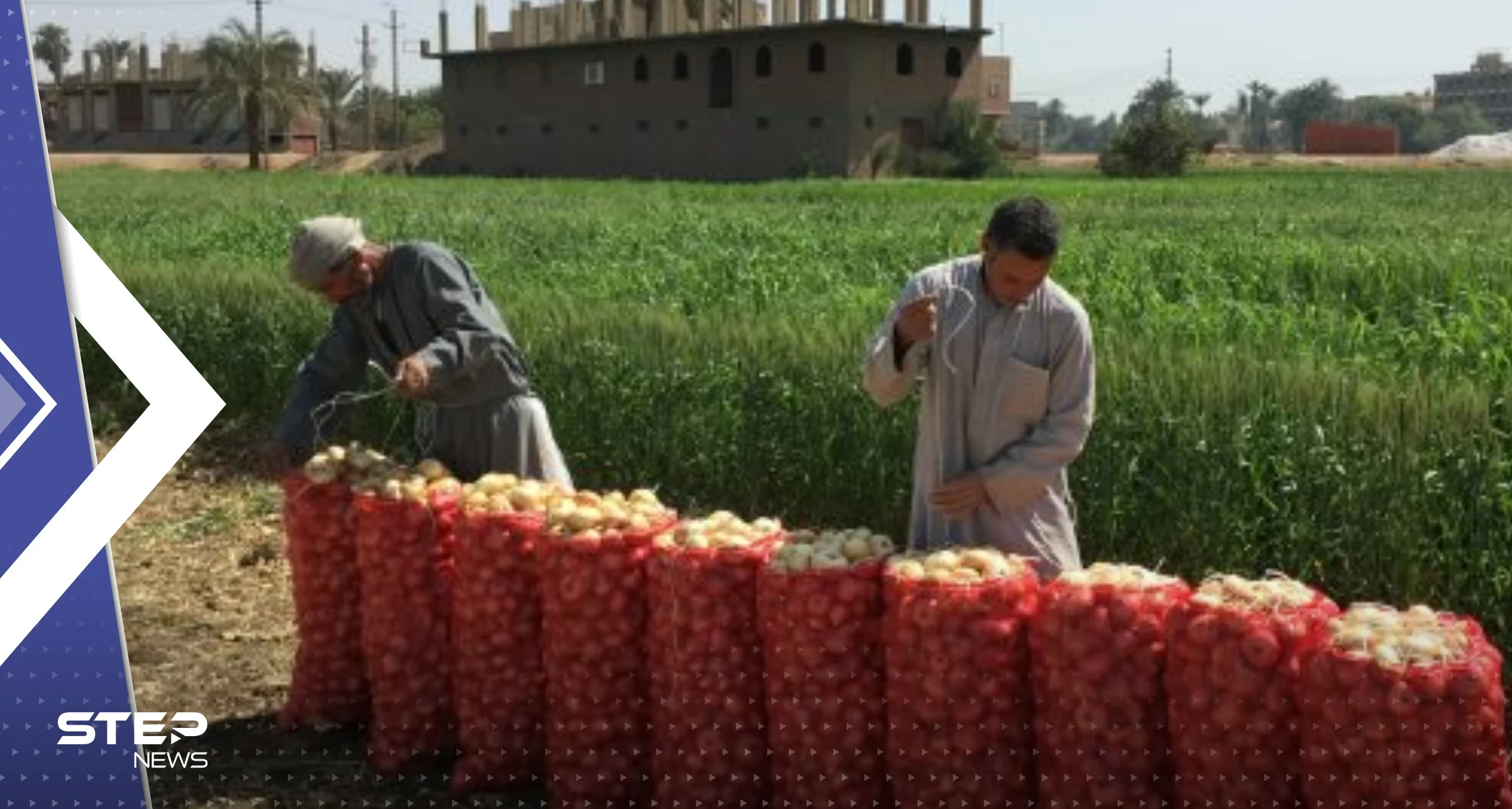 بعد البيض والدجاج.. أزمة بصل "عابرة للحدود" ومصر قد تستفيد