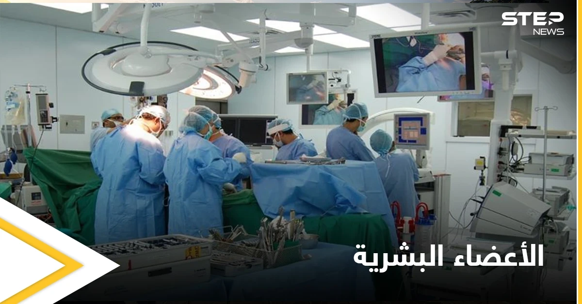 أطباء إسرائيليون يطورون عضواً هجيناً من "الإنسان والخنزير" لحل مشكلة نقص الأعضاء البشرية