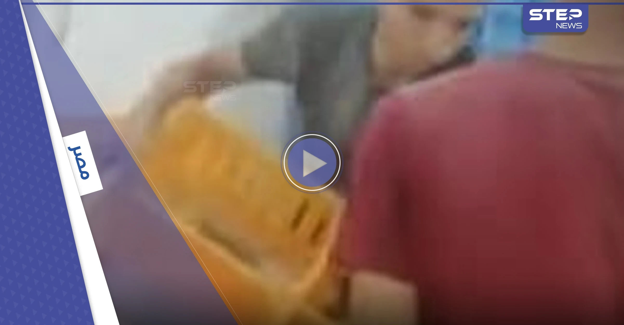 بالفيديو|| قتل مئات الكتاكيت خنقاً يثير ضجة في مصر وتعليق وزارة الزراعة