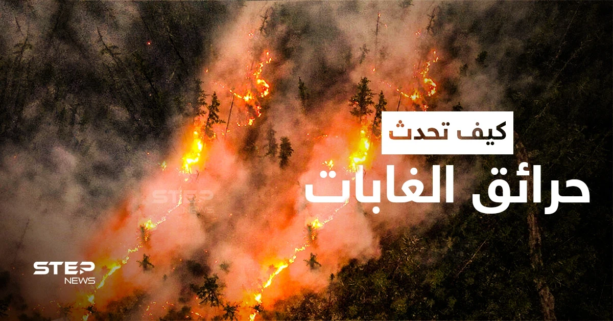 كيف تحدث حرائق الغابات ... تعرّف على عوامل انتشارها