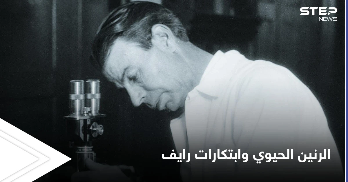 أحدثت ثورة في عالم الطب.. تقنية الرنين الحيوي وابتكارات الدكتور رويال رايف للعلاج بالترددات