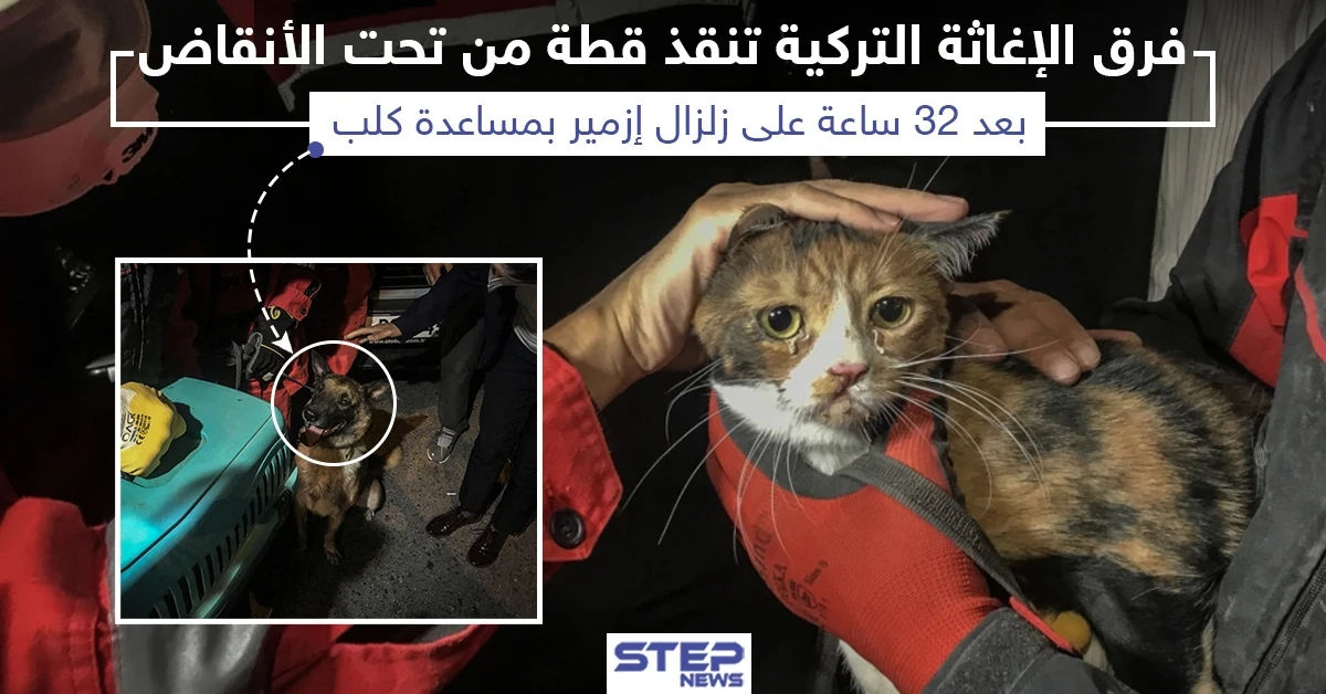 عقب 32 ساعة إنقاذ قطة من تحت أنقاض زلزال أزمير